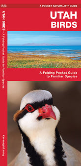 Utah Birds: A Folding Pocket Guide to Familiar Species